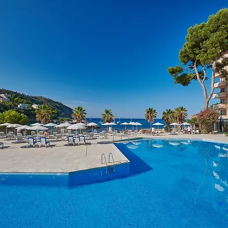 호텔 Grupotel Playa - Adults Only 4*